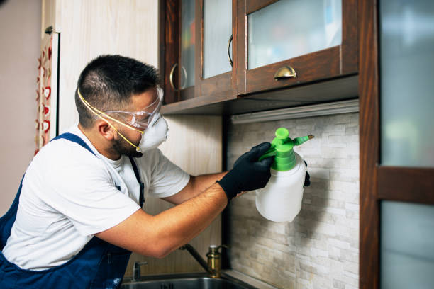 Best Ant Control Services  in Tremont, IL