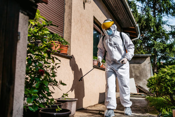 Best Bed Bug Extermination  in Tremont, IL