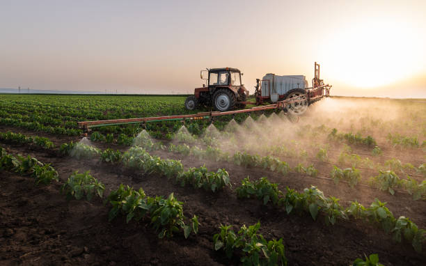 Professional Pest Control in Tremont, IL