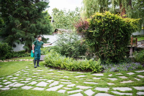 Best Local Pest Control Services  in Tremont, IL