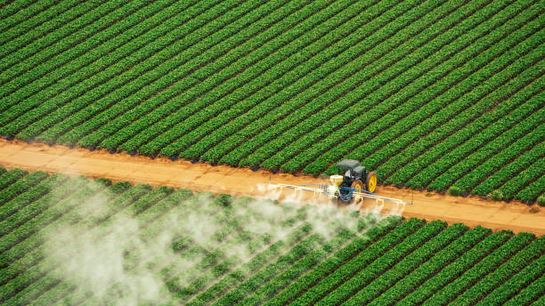 Best Best Pest Control Companies  in Tremont, IL