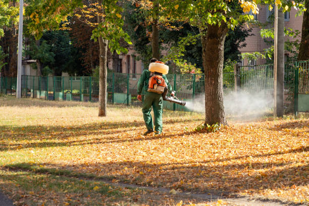 Best Pest Prevention Services  in Tremont, IL